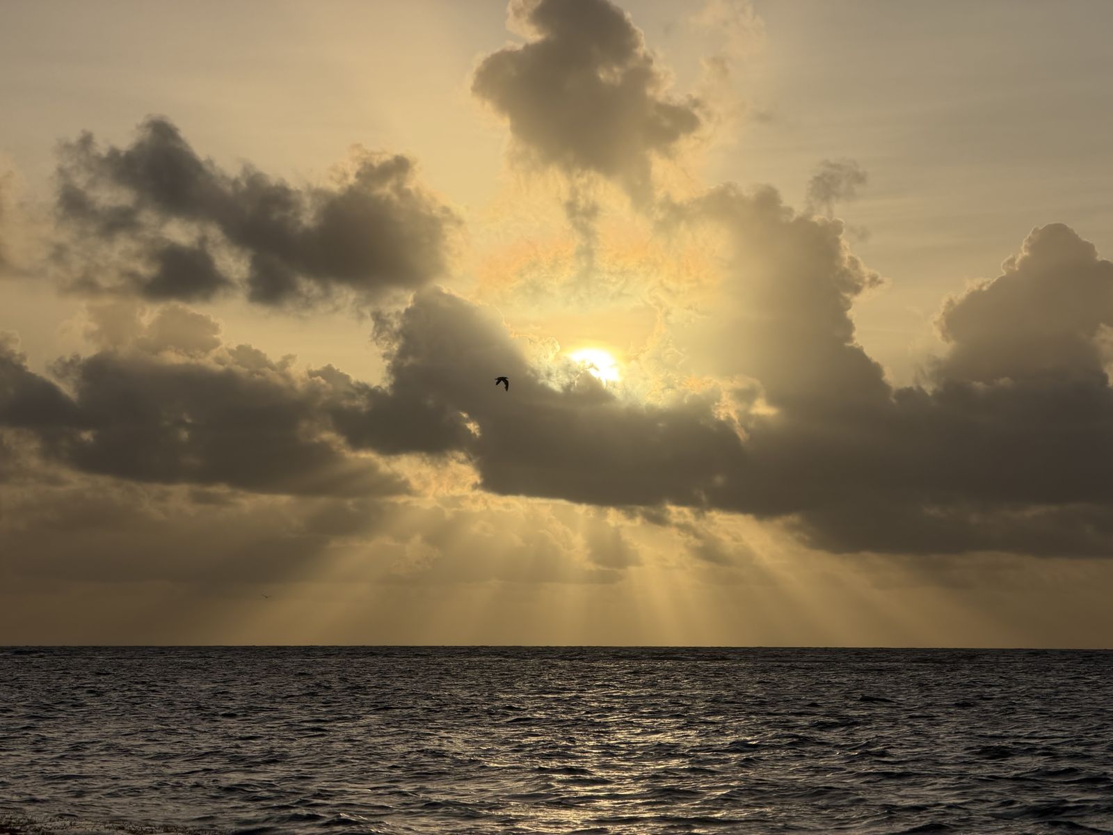 An earlier morning in Mahahual, recorded on a phone.